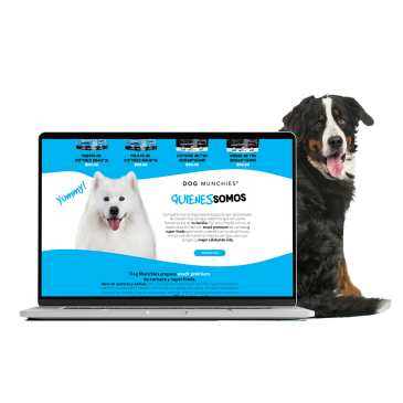 guadalajara, publicidad en línea,