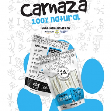  publicidad en línea, branding, guadalajara